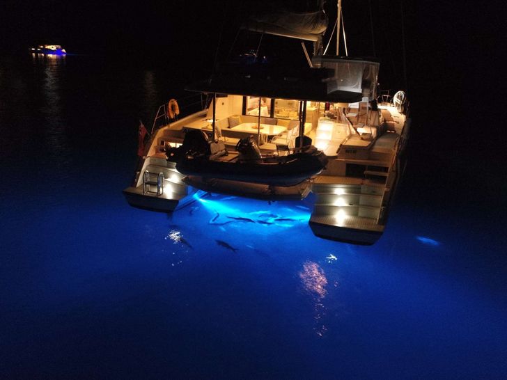 ANDIAMO Leopard 50 - at night ANDIAMO Leopard 50 - at night