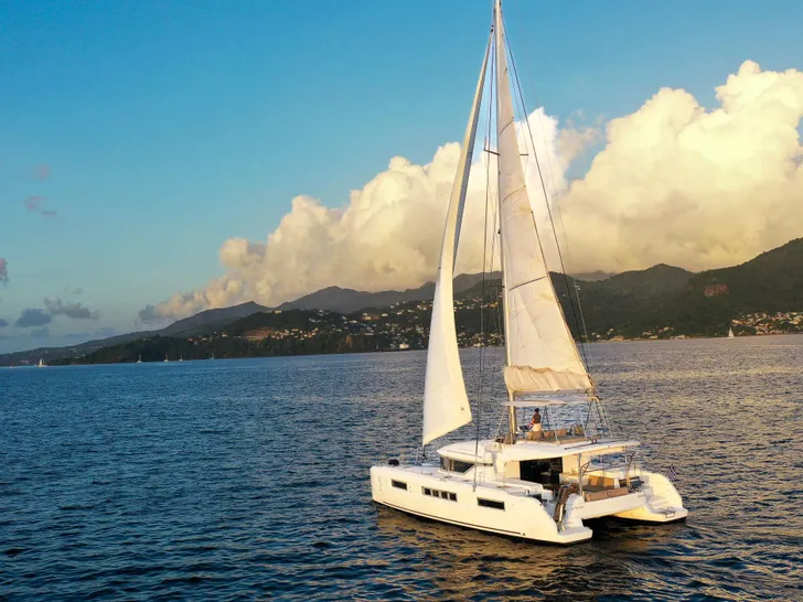 Drone view of Swan sailing Drone view of Swan sailing