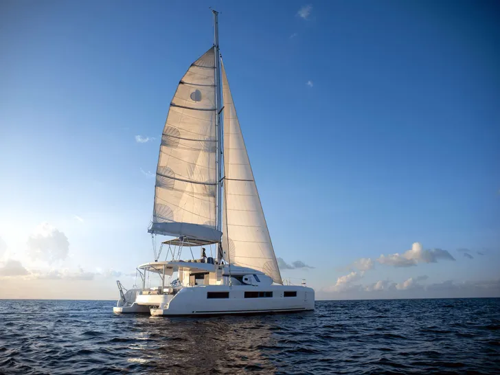 Swan sailing into the sunset Swan sailing into the sunset