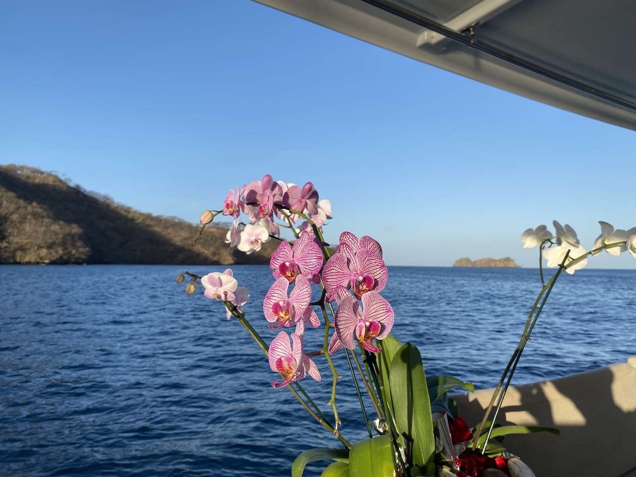 Charter Yacht EUPHORIA - Fountaine Pajot Elba 45 - 4 Cabins - Costa Rica