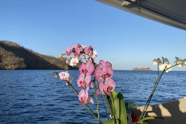 Charter Yacht EUPHORIA - Fountaine Pajot Elba 45 - 4 Cabins - Costa Rica