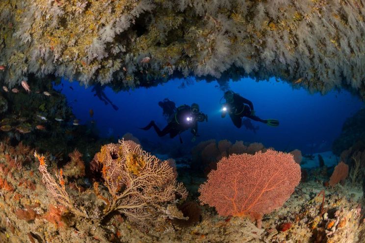 Charter Yacht WHITE PEARL - Custom Yacht 56m - 13 Cabins - Male - Maldives - Indian Ocean - Southeast Asia