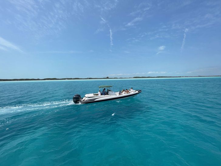 A PLACE IN THE SUN Broward 100 tender A PLACE IN THE SUN Broward 100 tender