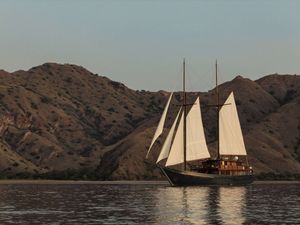 VELA - Phinisi 50m - 6 Cabins - Labuan Bajo - Komodo - Sorong - Raja Ampat - Indonesia VELA - Phinisi 50m - 6 Cabins - Labuan Bajo - Komodo - Sorong - Raja Ampat - Indonesia