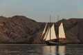 VELA - Phinisi 50m - 6 Cabins - Labuan Bajo - Komodo - Sorong - Raja Ampat - Indonesia VELA - Phinisi 50m - 6 Cabins - Labuan Bajo - Komodo - Sorong - Raja Ampat - Indonesia