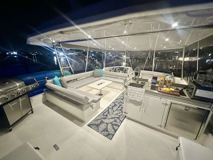 SOUTHERN SKY Leopard 51 - Flybridge SOUTHERN SKY Leopard 51 - Flybridge