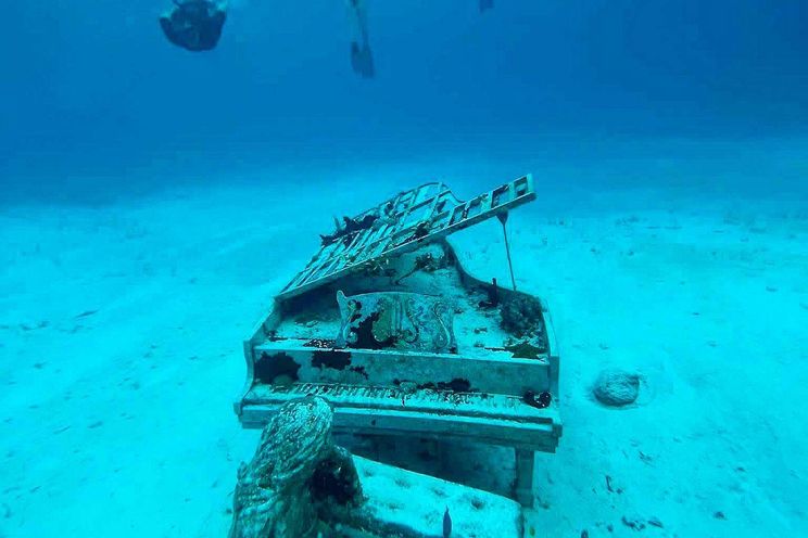 Charter Yacht M LEGACY - Bali 4.6 - 4 Cabins - Nassau - Exumas - Bahamas