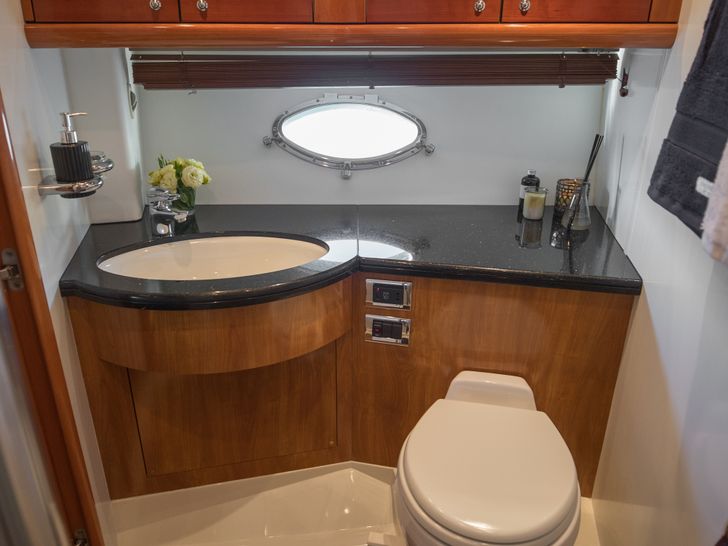 ALFIE Sunseeker Predator Head ALFIE Sunseeker Predator Head