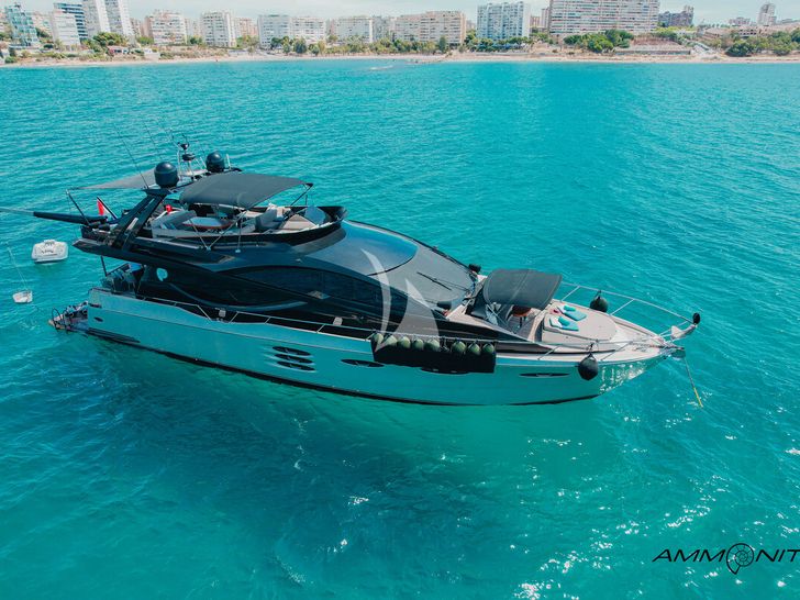 AMMONITE Numarine 78 main profile AMMONITE Numarine 78 main profile