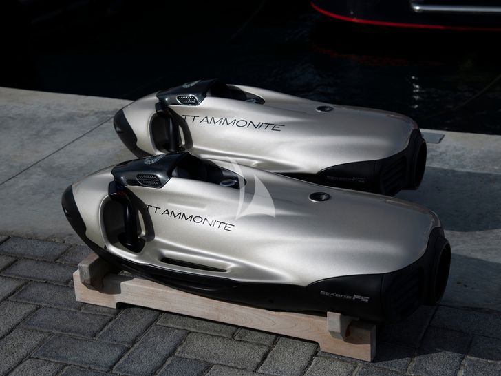 AMMONITE Numarine 78 sea bobs AMMONITE Numarine 78 sea bobs