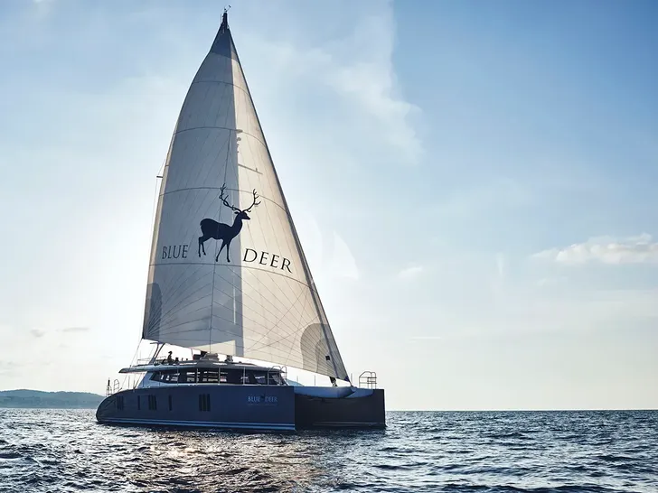 BLUE DEER Sunreef 74 - profile BLUE DEER Sunreef 74 - profile