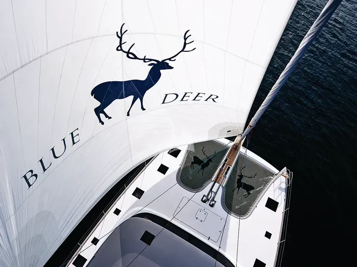 BLUE DEER Sunreef 74 - sail BLUE DEER Sunreef 74 - sail