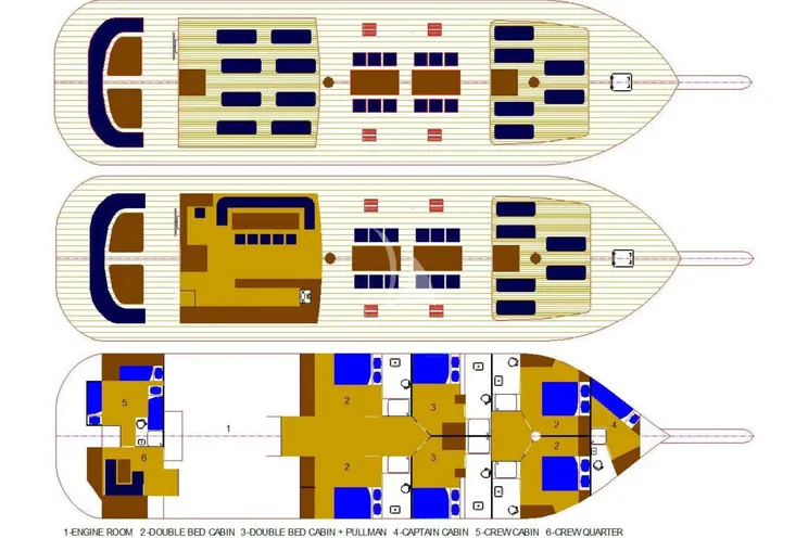 Layout for LIBRA Gulet 31m - layout 6