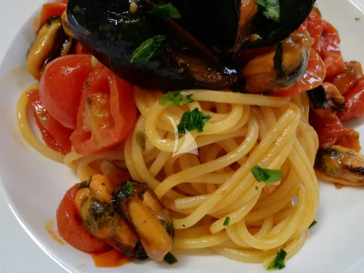 BOBY Mangusta 80 - sample dish 1 BOBY Mangusta 80 - sample dish 1