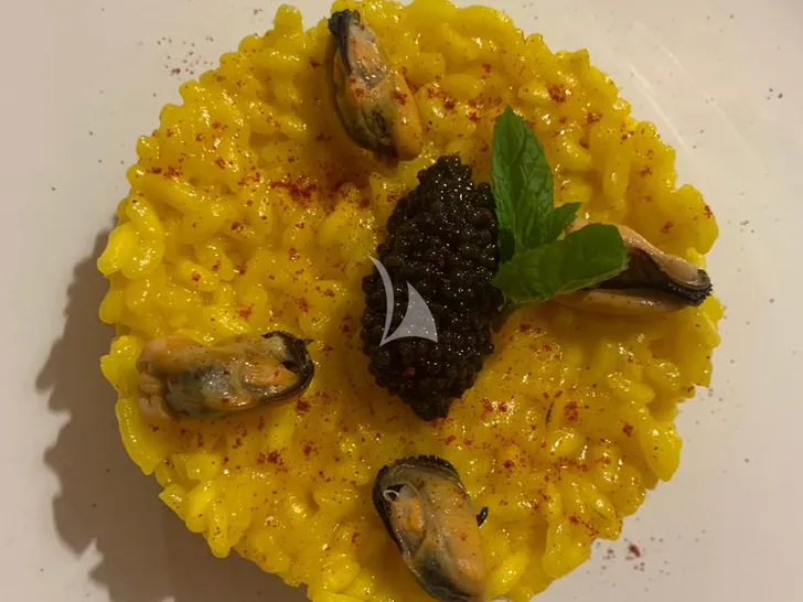 BOBY Mangusta 80 - sample dish 2 BOBY Mangusta 80 - sample dish 2