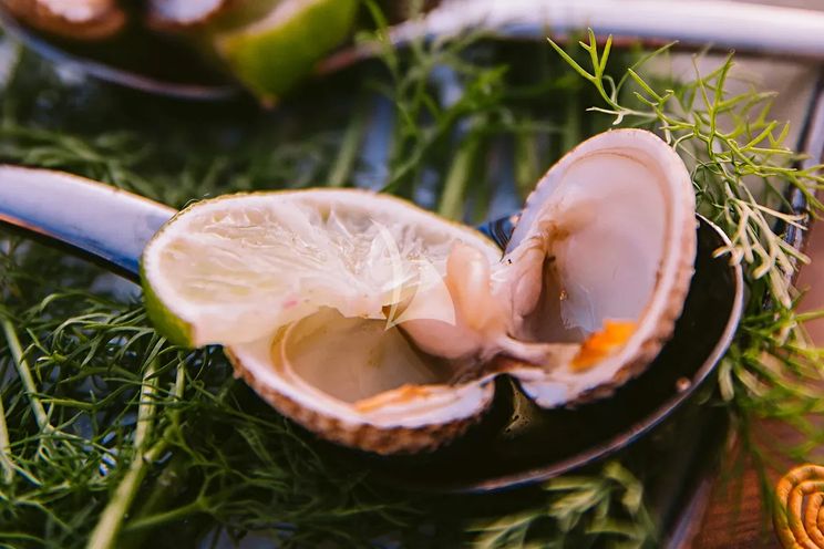 Charter Yacht ELVI - Posillipo Technema 95s - 5 Cabins - Athens - Mykonos - Paros - Cyclades - Greece