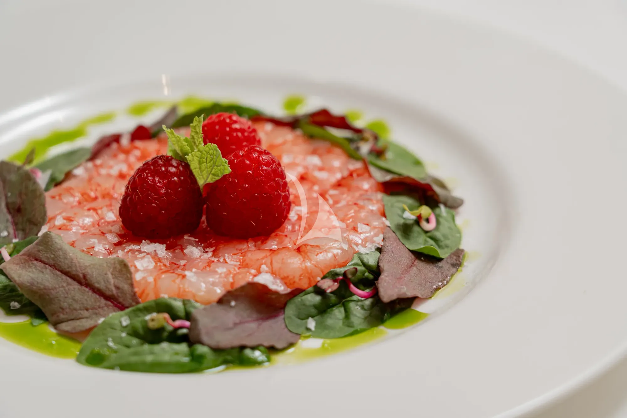 FORZA QUIETA Sanlorenzo SP92 - sample dish 1