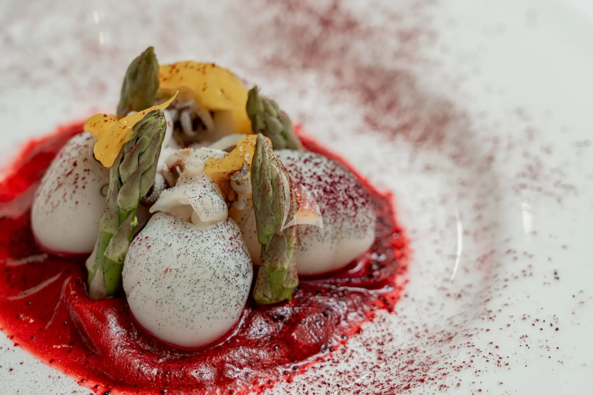 FORZA QUIETA Sanlorenzo SP92 - sample dish 2