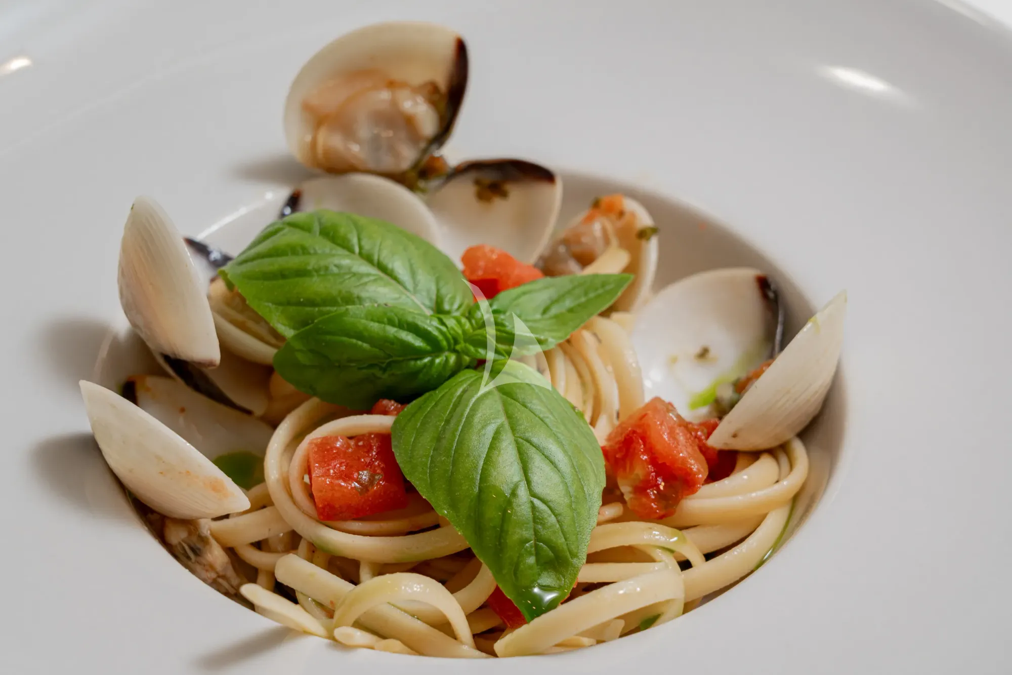 FORZA QUIETA Sanlorenzo SP92 - sample pasta dish