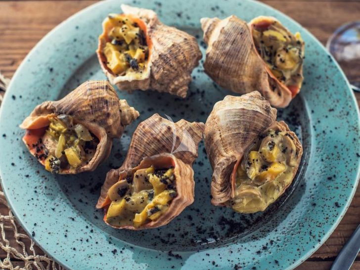 G Riva 90 Argo - sample dish G Riva 90 Argo - sample dish