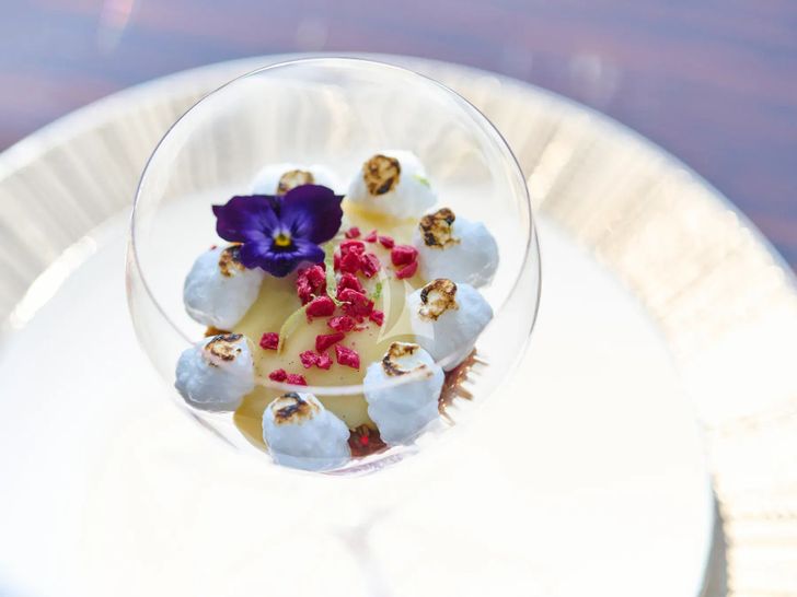 HAKUNA MATATA Couach 3700 FLY - sample dessert HAKUNA MATATA Couach 3700 FLY - sample dessert
