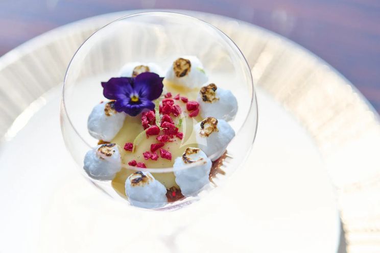 Charter Yacht HAKUNA MATATA - Couach 3700 Fly - 6 Cabins - Athens - Mykonos - Kefalonia