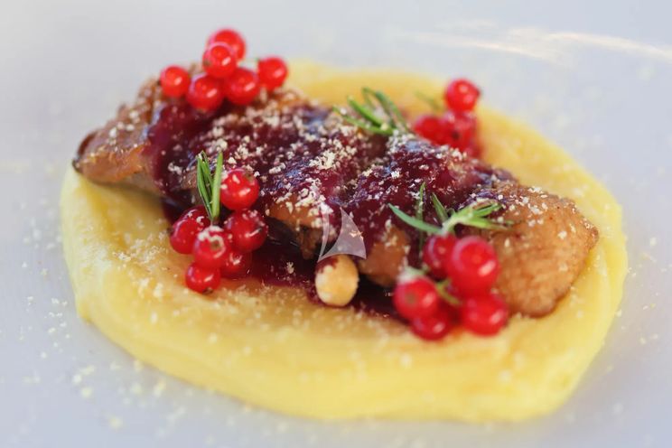 Charter Yacht HONEYBIRD - Sunreef 80 - 3 Cabins - Sibenik - Split - Dubrovnik - Hvar - Croatia