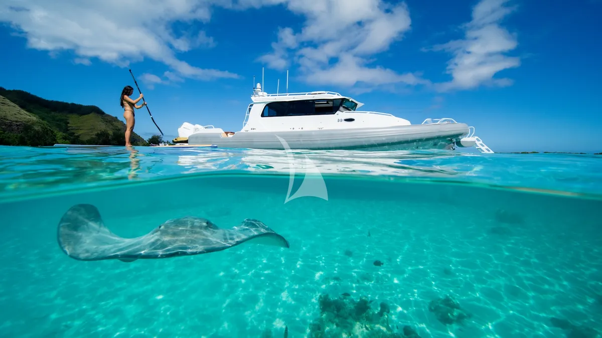 IRON BLONDE Trinity Yacht 60m - paddleboarding