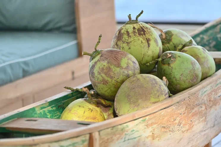 Charter Yacht KUDANIL - Custom Motor Yacht 50m - 8 Cabins - Labuan Bajo - Komodo - Raja Ampat - Sorong - Indonesia