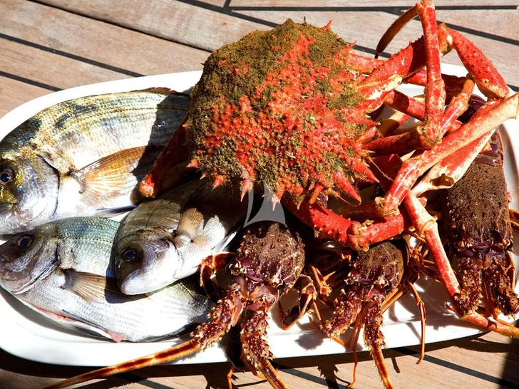 LAOUEN Couach 22m - seafood dinner LAOUEN Couach 22m - seafood dinner