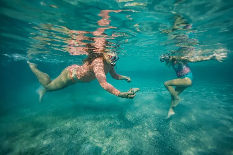 Charter Yacht LIVIN - Leopard 50 - 3 Cabins - Tortola - Anegada - Virgin Gorda - BVI - Caribbean