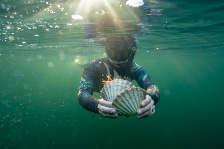 Charter Yacht NORDVÆR - Lagoon 51 - 4 Cabins - Norway