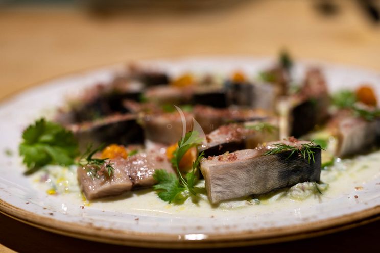 Charter Yacht NORDVÆR - Lagoon 51 - 4 Cabins - Norway