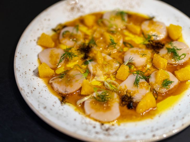 NORD Lagoon 51 sample dish 3 NORD Lagoon 51 sample dish 3