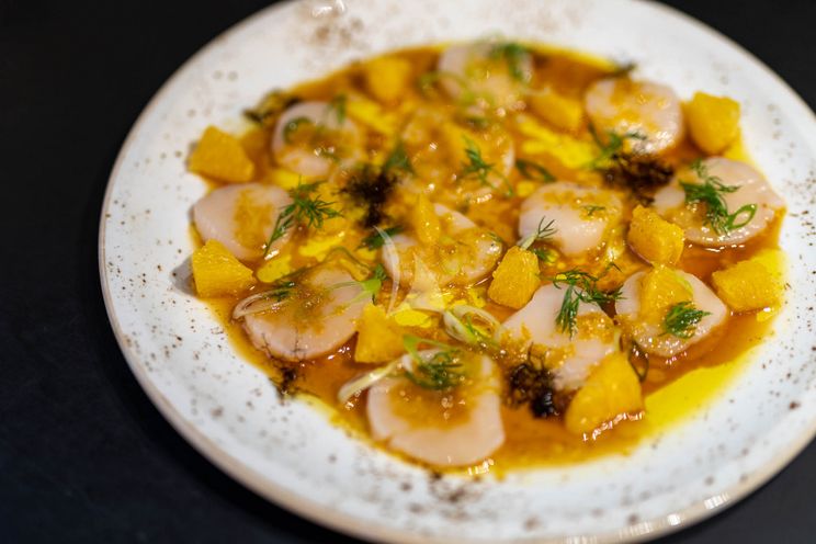 Charter Yacht NORDVÆR - Lagoon 51 - 4 Cabins - Norway