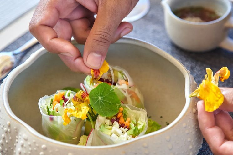 Charter Yacht ORACLE - Phinisi 35m - 2 Cabins - Labuan Bajo - Komodo - Sorong - Raja Ampat - Indonesia