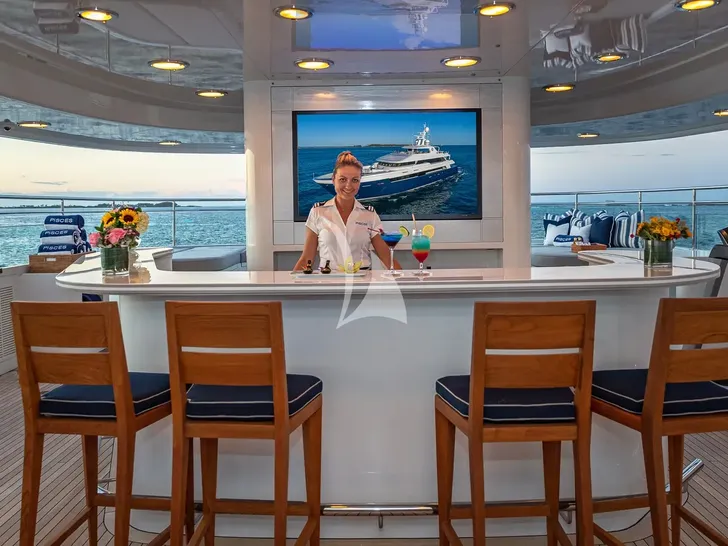PISCES Delta Marine 151 - sundeck bar PISCES Delta Marine 151 - sundeck bar