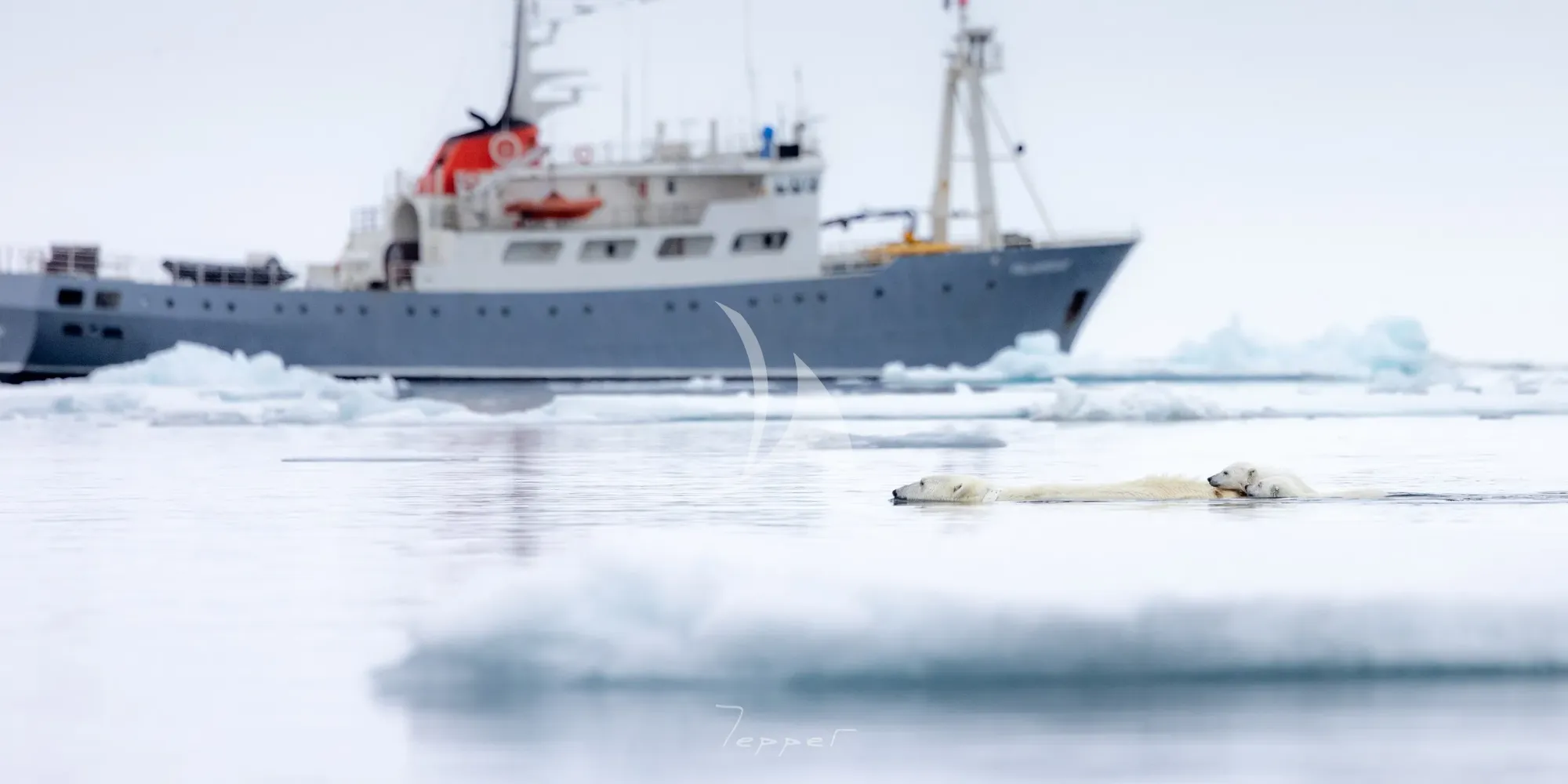Charter Yacht POLARFRONT - Custom 55m - 8 Cabins - Svalbard - Norway