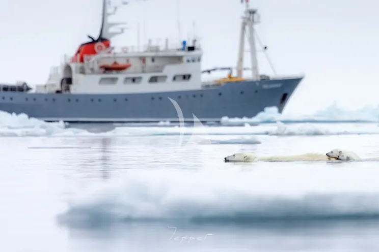 Charter Yacht POLARFRONT - Custom 55m - 8 Cabins - Svalbard - Norway