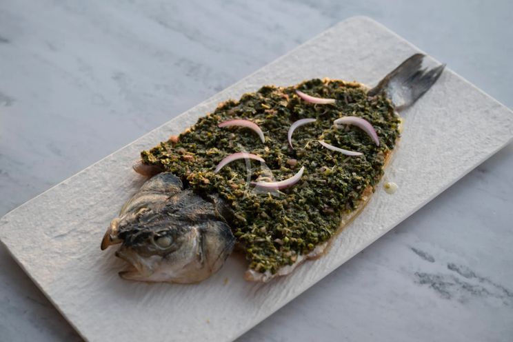 Charter Yacht SEA BLISS - Sunreef 70 - 4 Cabins - Porto Cervo - La Maddalena - Sardinia - Italy