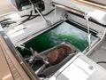 SEIYA Sunreef 80 Power jet ski SEIYA Sunreef 80 Power jet ski