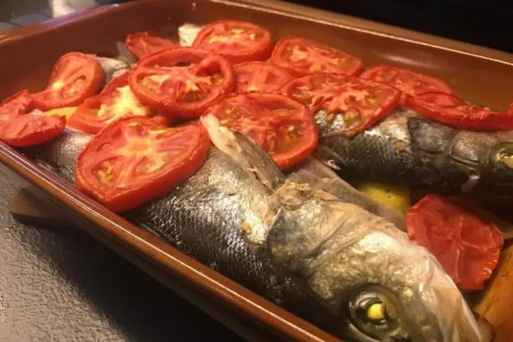 Charter Yacht AVOCADO - Lagoon 42 - 2 Cabins - Split - Trogir