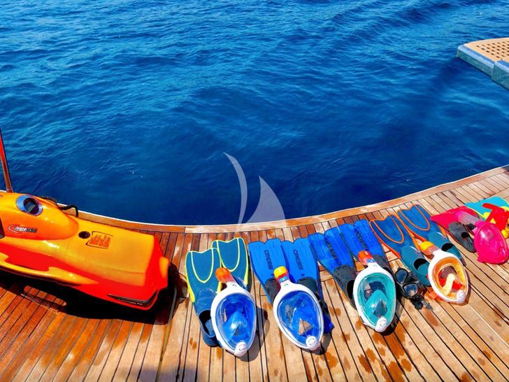 PRIME - fins and toys PRIME - fins and toys