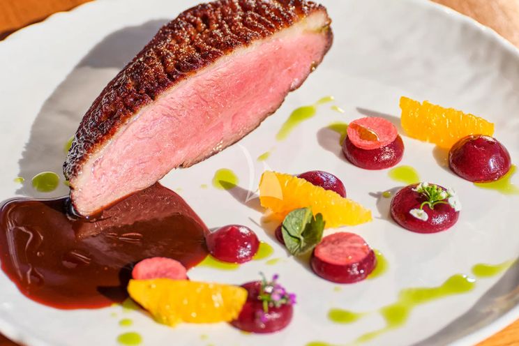 Charter Yacht TIGRA - Cantieri di Pisa Akhir 31 - 5 Cabins - Athens - Mykonos - Paros - Cyclades - Greece