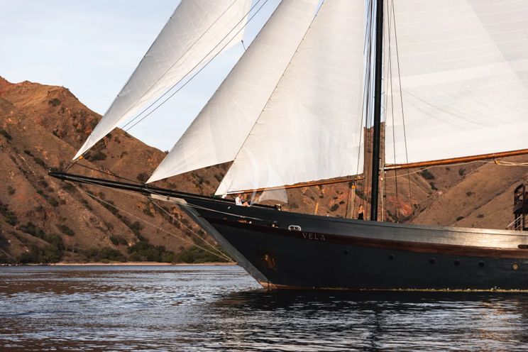 Charter Yacht VELA - Phinisi 50m - 6 Cabins - Labuan Bajo - Komodo - Sorong - Raja Ampat - Indonesia