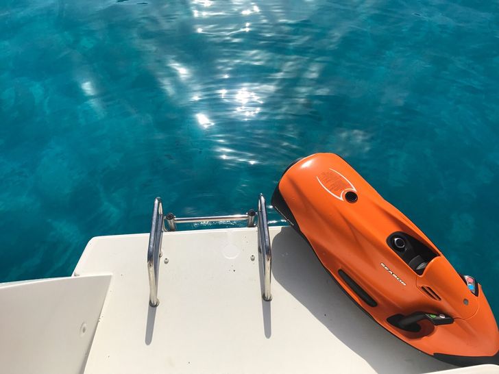 AVOCADO - Lagoon 42 AVOCADO - Lagoon 42