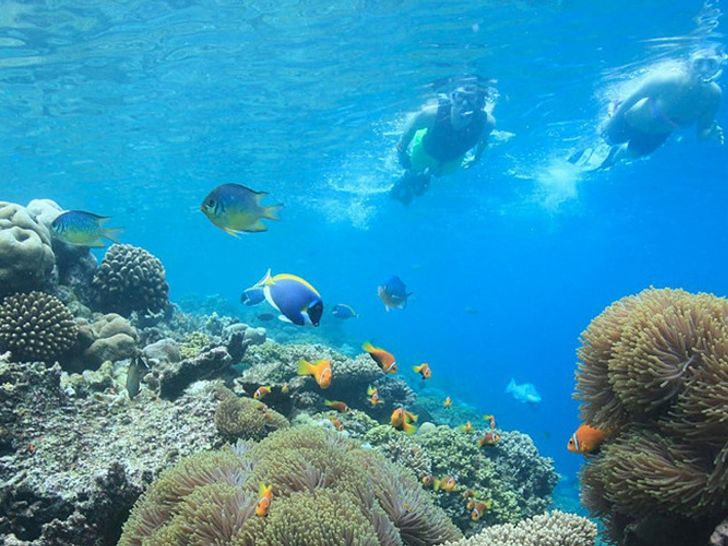 Diving