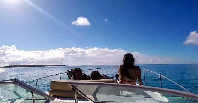 Charter Yacht Bayliner 35 - Day charter - 2008 - Nassau - Rose Island - Exumas