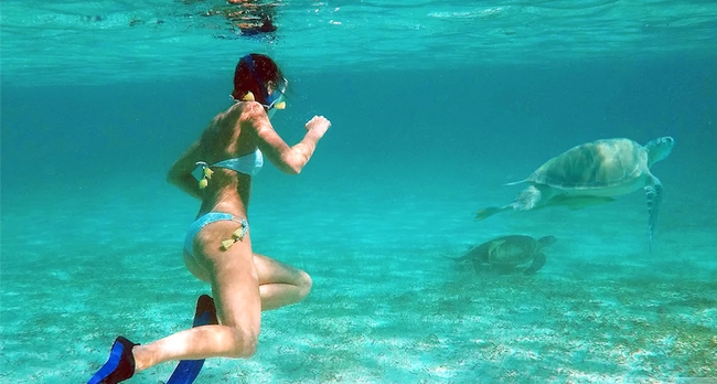 Charter Yacht Bayliner 35 - Day charter - 2008 - Nassau - Rose Island - Exumas