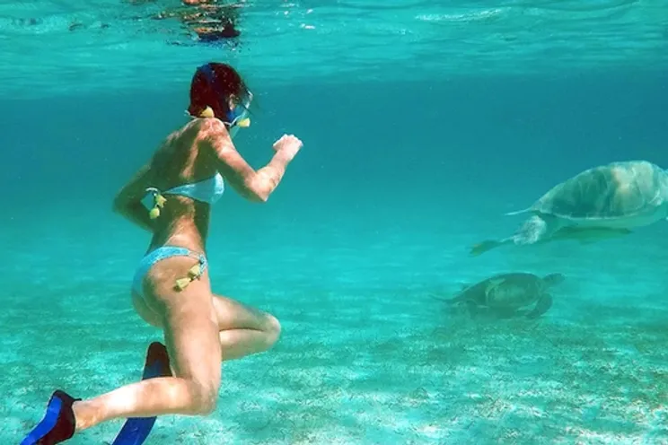 Charter Yacht Bayliner 35 - Day charter - 2008 - Nassau - Rose Island - Exumas